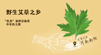 艾草越嫩越好，還是越久越好？悄悄告訴你：艾草這樣用，效果最好！