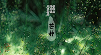 【二十四節(jié)氣灸】芒種節(jié)氣，培土補(bǔ)脾、養(yǎng)陰生津！艾灸這些穴位事半功倍！