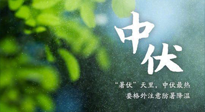【三伏養(yǎng)生】至熱中伏，吃三樣，喝三樣，三大禁忌千萬別犯，小心落下病根！