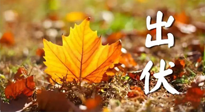 【三伏養(yǎng)生】出伏后做好養(yǎng)生很關(guān)鍵！一行要注意！