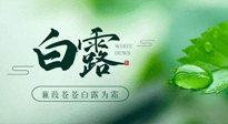 【二十四節(jié)氣灸】白露涼爽，養(yǎng)心肝脾胃、滋陰潤肺是關(guān)鍵！