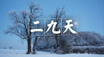 【三九養(yǎng)生】冬二九，扶陽補(bǔ)腎氣，讓你陽氣充足一整年！