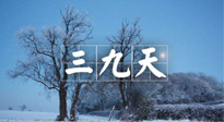 【三九養(yǎng)生】冬三九，三九第三灸，一年中最后艾灸黃金9天！