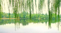 【養(yǎng)生知識】已入五九，六九將至，五九的養(yǎng)生秘訣，你知道嗎？
