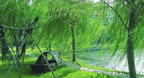 【養(yǎng)生知識】元宵入六九，春季已至，六九天的養(yǎng)生知識你知道多少？