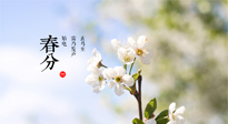 【二十四節(jié)氣灸】春分，平分了大地晝夜；艾灸，平衡了身體陰陽！