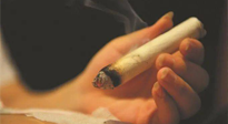 【艾灸知識】春暖花開，衣衫漸薄，再不減肥，身上的肉肉可藏不住了！