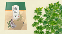 【行業(yè)資訊】國內首部艾草專著《南陽艾》，在南陽新書首發(fā)！