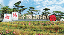 【行業(yè)資訊】南陽一個(gè)值得三顧的地方！“丹江水”“仙草艾”成為 “南陽禮物”新爆款！