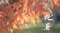 【二十四節(jié)氣灸】處暑，冬病夏治倒計(jì)時(shí)！秋涼真的要來了！