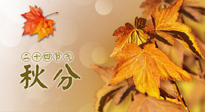 【二十四節(jié)氣灸】秋分節(jié)氣，平衡陰陽，巧用艾灸，潤燥養(yǎng)肺是關鍵！