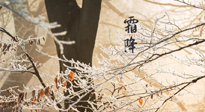 【二十四節(jié)氣灸】霜降節(jié)氣：艾灸四穴，護您冬天安然無恙！