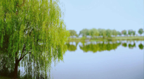 【艾灸知識(shí)】春三月，必艾灸穴位：疏肝理氣，養(yǎng)血調(diào)神！