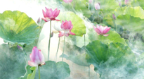 【養(yǎng)生知識】花開半夏，夏至養(yǎng)生，這些知識一定要牢記！