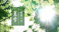 【艾灸三伏天】今年三伏不一般，仙草小助理建議大家早作準備哦！
