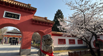 【行業(yè)資訊】新華財(cái)經(jīng)：守正創(chuàng)新，中醫(yī)藥品牌化發(fā)展“更上一層樓”！