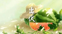 【艾灸三伏天】出伏后記得堅(jiān)持艾灸，伏后固本，做好至關(guān)重要的最后一步！