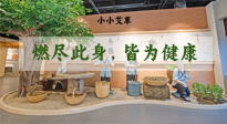 【艾草知識】小小艾草，渾身是寶，一生燃盡此身，皆為健康！